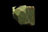 Fluorescent Zircon Crystal in Mica Schist - Norway #130486-5
